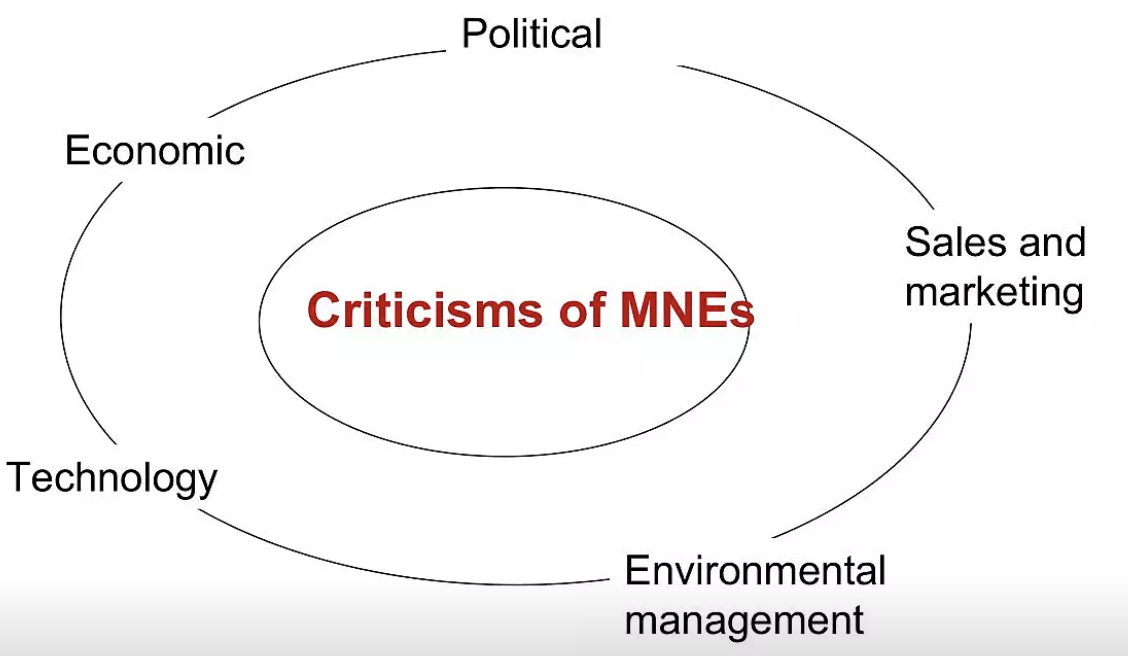 Criticisms of MNEs